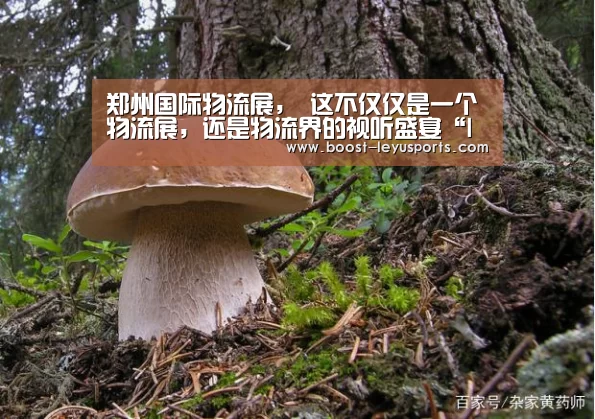 乐鱼体育